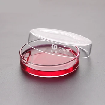 10 개/팩 75mm Boro 유리 접시 저렴한 셀에 대한 명확한 메마른 화학 Instrum 사용에 대한 문화의 박테리아